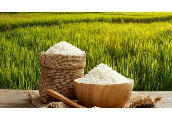 اقدامی در راستای تنظیم بازار برنج